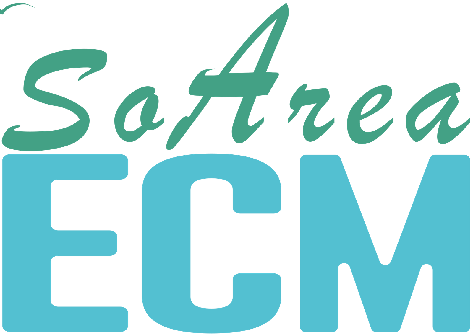 Logo ECM SoArea